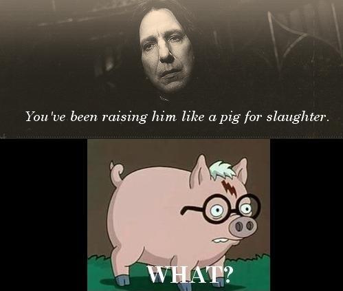 Ó Snape