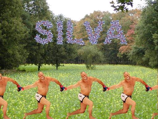 Wanderlei Silva