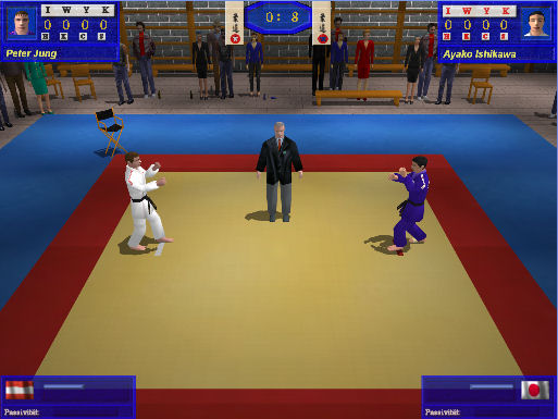 Judo leikur