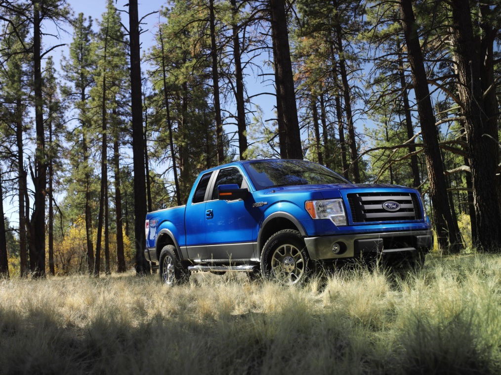 2009 Ford F-150