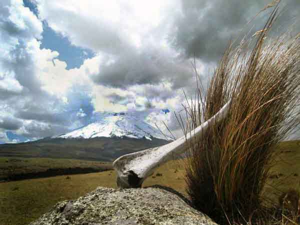 Chimborazo