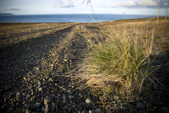 Við veginn - mynd septembermánaðar