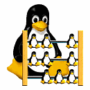 Linux