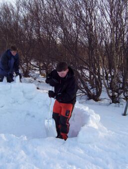 Skátar