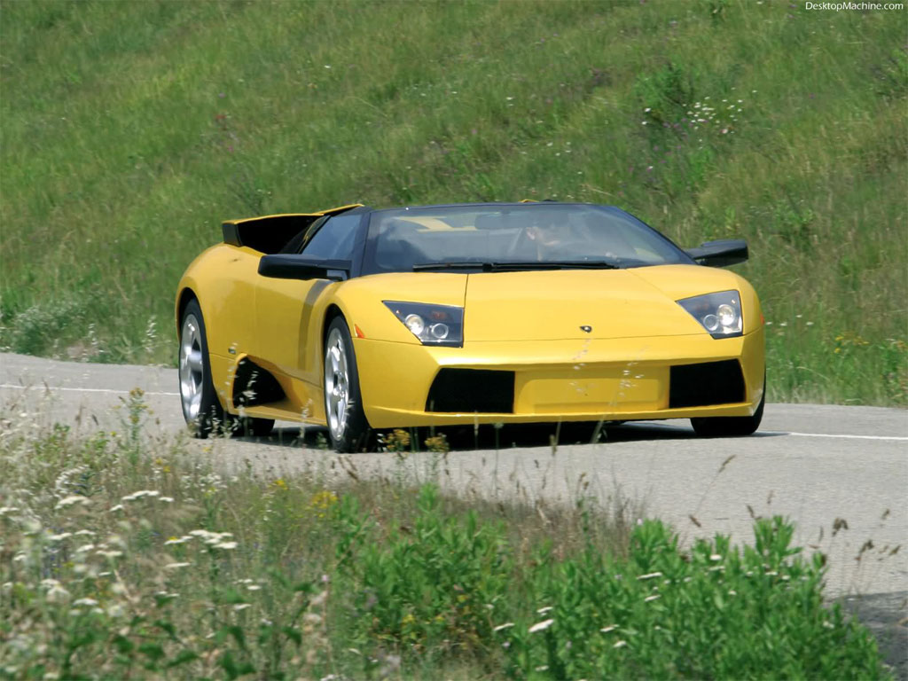 Lamborgini