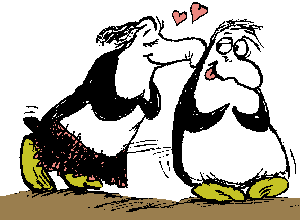 Penguin love