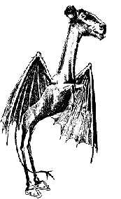 Jersey Devil