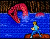 Star Tropics